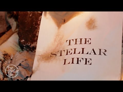 The Stellar Life - Hate Your Guts OFFICIAL LYRIC VIDEO