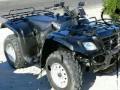 Gotta Survive