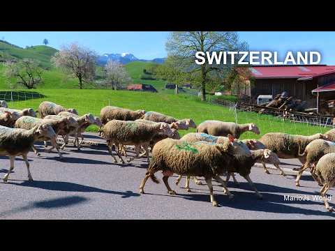Swiss spring 🇨🇭 Switzerland top places