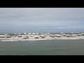 Just the Drones: Dauphin Island 2022
