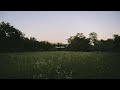 Calm Songs For Early Mornings
