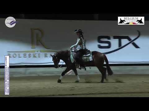 Ann Fonck & Shines Like Spook