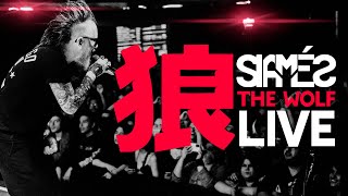 SIAMÉS - “THE WOLF LIVE [One Shot Video ]