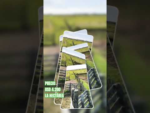 VENDO 267 Has, RUTA 19 ROCHA . #inmobiliariaexito #097183181 #rochauruguay #ventas