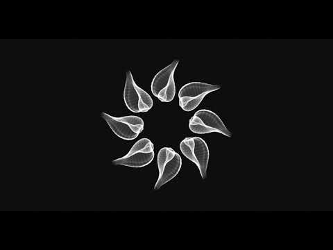 AleVtina, Rich Hila - Just Break (Original Mix)