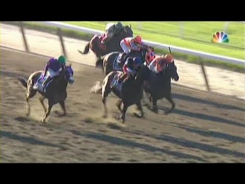 2014 Belmont Stakes