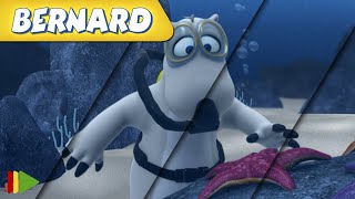 🐻‍❄️ BERNARD  | Collection 20 | Full Episodes | VIDEOS and CARTOONS FOR KIDS