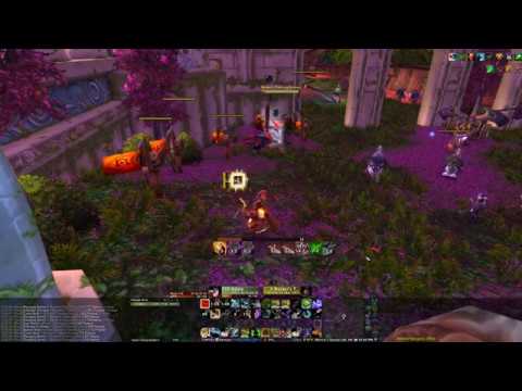 Beast Mastery Hunter WeakAuras - Battle for Azeroth