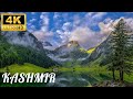 Kashmir Most Beautiful Place In India Mini Switzerland 4k Video