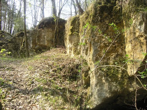 Rezerwat przyrody Szachownica - zasady zachowania w rezerwacie