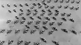 Maa&Ilm - 1930 - tsikliparaad