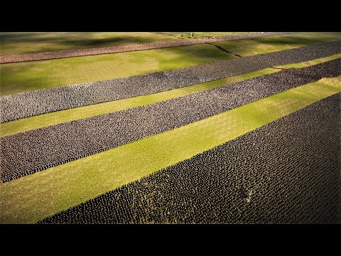 Spartans Recapturing Castle | Ultimate Epic Battle Simulator 2 | UEBS2