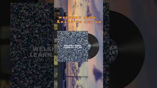 하루한곡 welshly Arms - Learn to let go