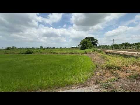 ขายด่วน ที่ดินใกล้ Jadin De Chaisri ขนาดเกือบ 2 ไร่ – รูปที่ 2