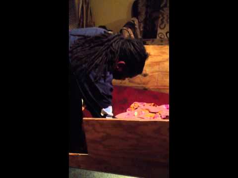 XXL Pitbull puppies D'Beaux and Xena