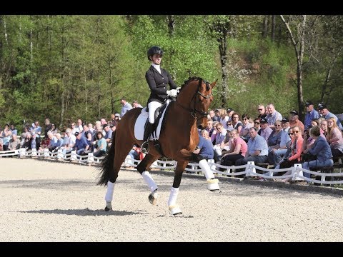 valverde (Vitalis x Ampere x First Final)