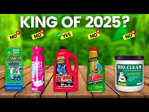6 Best Drain Cleaner 2025