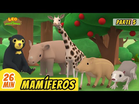 Mamíferos Episodio Compilación [Parte 5/6] (Español) - Leo, El Explorador | Animación - Familia