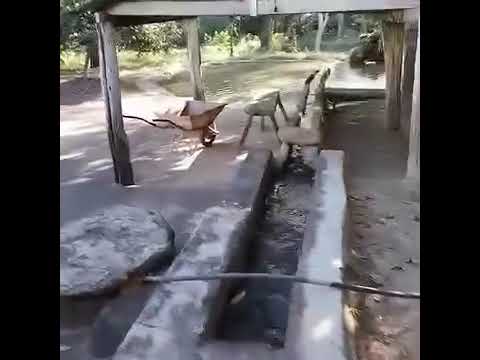 Sítio em Caldas Novas
