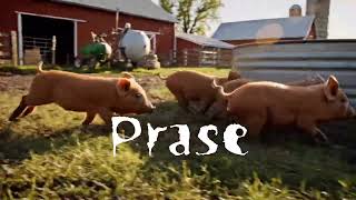 Video PRASE  z alba 7dní v p*deli - prewiew