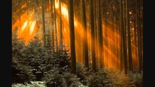 Arcana - The Ascending of a New Dawn