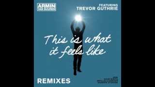 Armin van Buuren Feat. Trevor Guthrie-This Is What It Feels Like (Extended Mix)