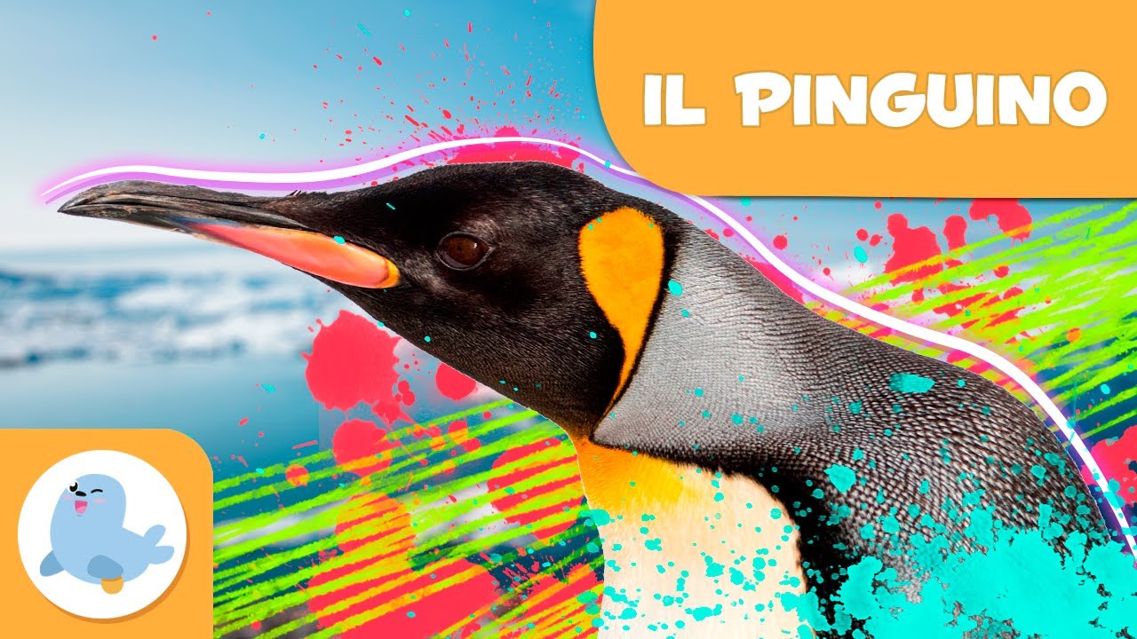 IL PINGUINO 🐧 Animali per bambini ❄️ Episodio 2