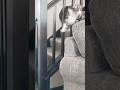 Soooo Close Afv Funny Shorts
