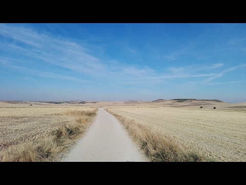 Mein Jakobsweg - Camino Francés 2016