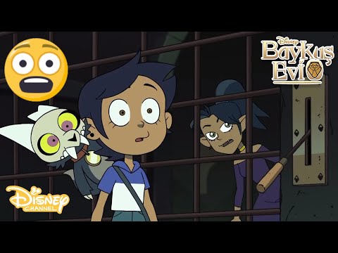 Müdür Mahluk😵| Baykuş Evi | Disney Channel Türkiye