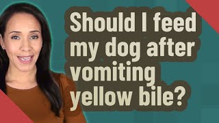 Should I feed my dog after vomiting yellow bile?