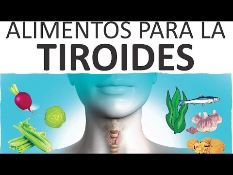 , title : 'ALIMENTOS PARA LA TIROIDES 🧄🍤🥬 HIPERTIROIDISMO / HIPOTIROIDISMO ❤️ MEDICINA EXTRAORDINARIA'