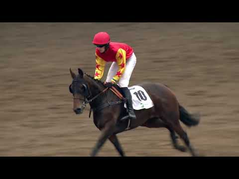 PE, 7. 9. 2019, 4. dostih - Cena společnosti AUTO IN s.r.o.