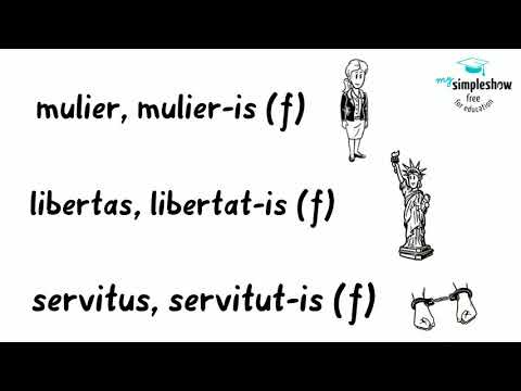 Latein - Einfach erklärt: Substantive der 3. Deklination