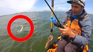Creating a NEW SWIMBAIT to Troll for California Halibut (Surprisingly Good)