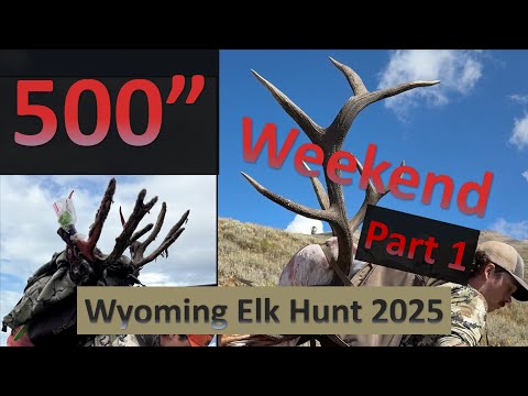 THE 500 INCH WEEKEND! Part 1: Wyoming Archery Elk Hunt 2025!
