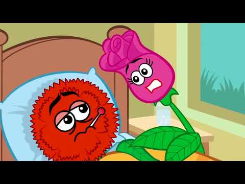 O Cravo Brigou Com a Roca