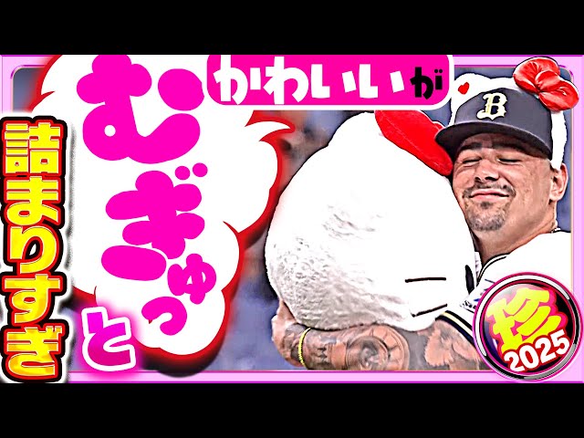 【屈強な男たちも…】選手もマスコットもかわいいかわいいかわいい【珍プレー2025】