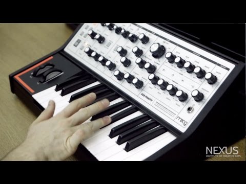 The Push | Matt Cossey