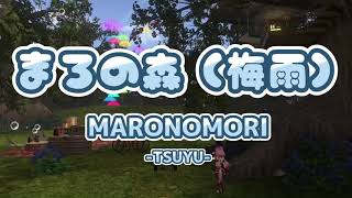 まろの森(梅雨)のご紹介