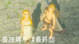 【ブレワイ縛り】ラスボスを倒しにいく | 料理とか防具、弓とか色々禁止【#最終回】
