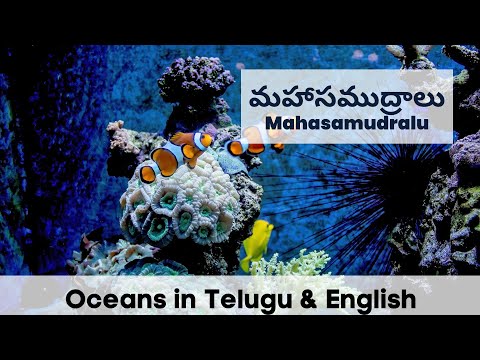 Learn oceans name - మహాసముద్రం