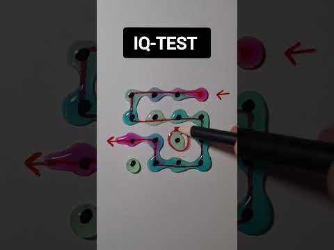 iq test