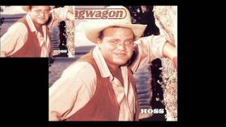 Joey &amp; Lagwagon meets Yellowcard in VIOLINS!!