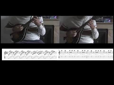 Believer - Imagine Dragon - Mandolin Duo Cover with tabs