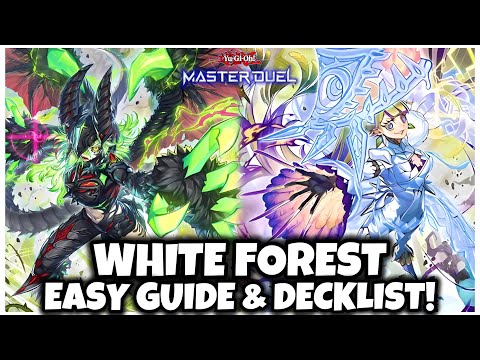 WHITE FOREST AZAMINA | EASY GUIDE & DECKLIST!