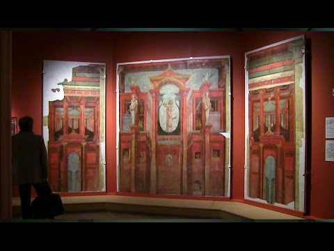 jardin-avec-piscine-forme-rectangulaire-deco-exterieure