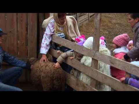 Cerc pedagogic Gradinita "Floare de Bujor" Tg. Bujor HD