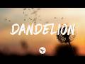 Ella Langley - Dandelion (Lyrics)