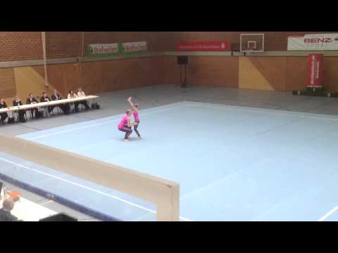 DM 2013-WP SEN DYNAMIC - Dierich, Sroka